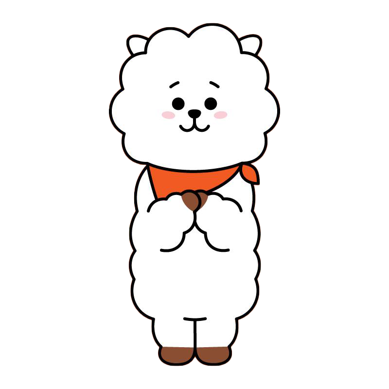 Bolso BT21 'RJ'