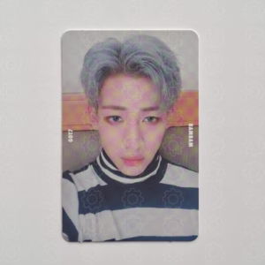 GOT7: BAMBAM - 7 FOR 7