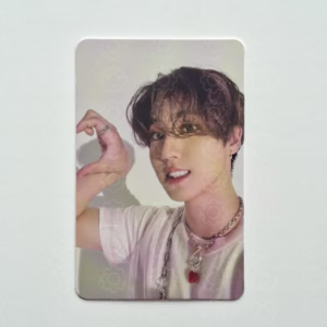 STRAY KIDS: HAN – MAXIDENT