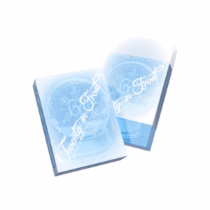 Girls' Generation - 2027 Season's Greetings 'Twenty In Frost' (POBs Disponibles)